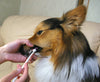 Mind Up KENKO CARE Round Head Toothbrush For Dogs