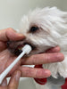 Mind Up KENKO CARE Toothbrush Cylinder Head For Dogs