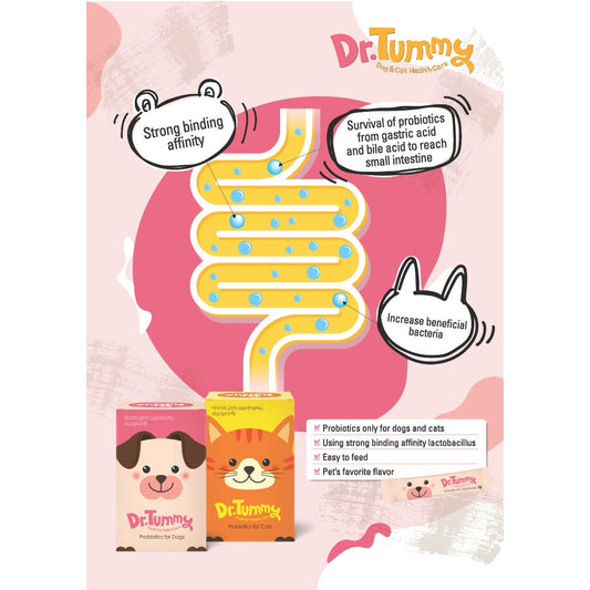 Dr Tummy Probiotics for Dogs and Cats